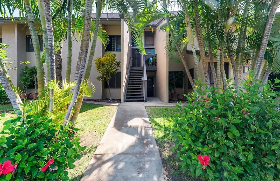 Kihei Garden Estates B-103 - Modern Designer Condo-1